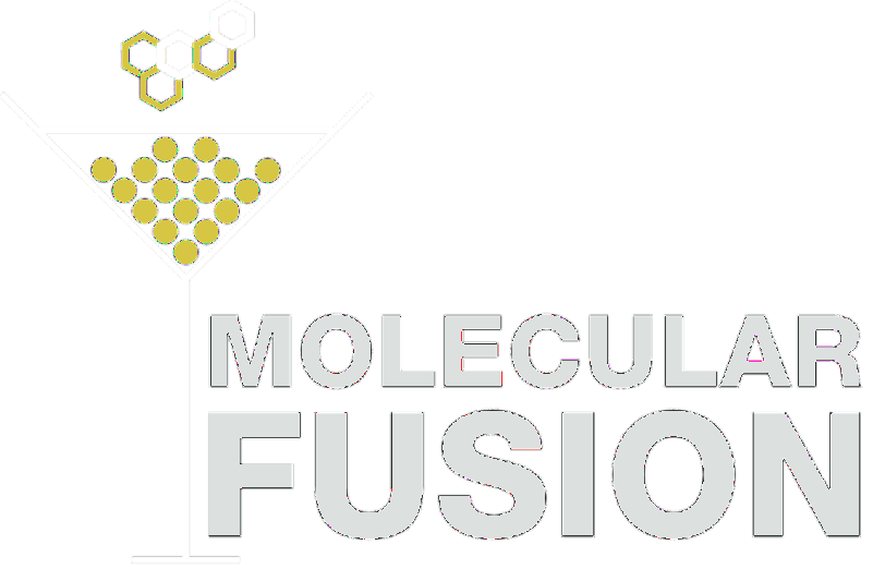 Molecular Fusion
